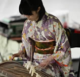 2011 Sakura Days Japan Fair (1-30)