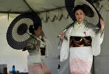2011 Sakura Days Japan Fair (31-60)