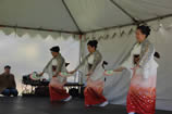 2011 Sakura Days Japan Fair (31-60)