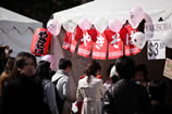 2011 Sakura Days Japan Fair (91-126)