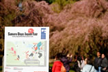 2012 Sakura Days Japan Fair (1-30)